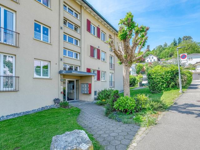 Rent a 3 rooms apartment in Strengelbach Flatfox