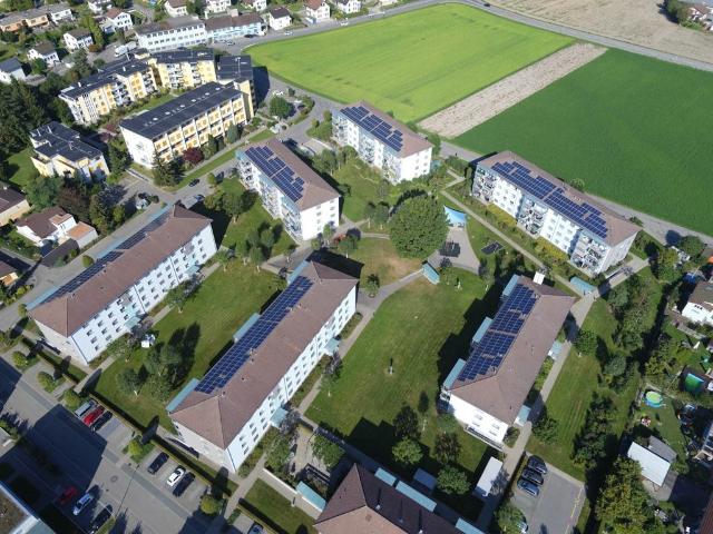 Rent a 3 ½ rooms apartment in Strengelbach Flatfox