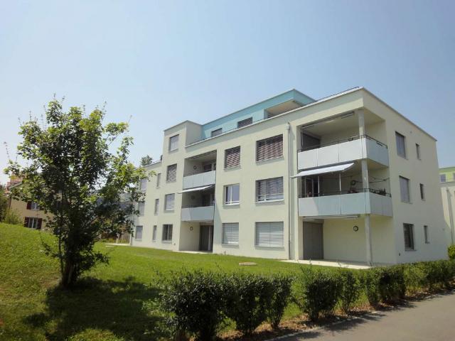 Rent a 3 ½ rooms apartment in Strengelbach Flatfox