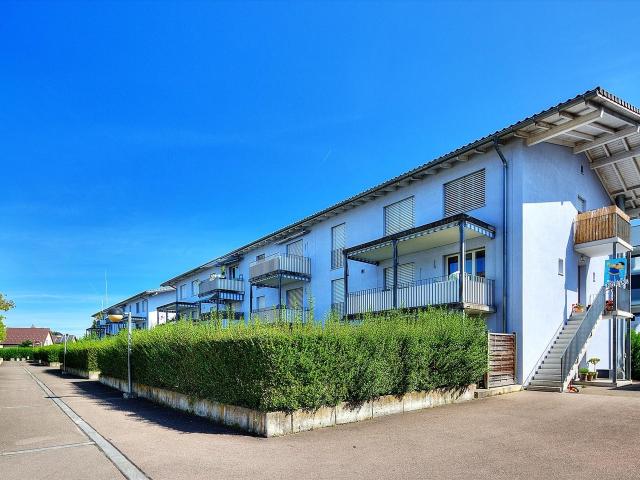 Rent a 3 ½ rooms apartment in Strengelbach Flatfox