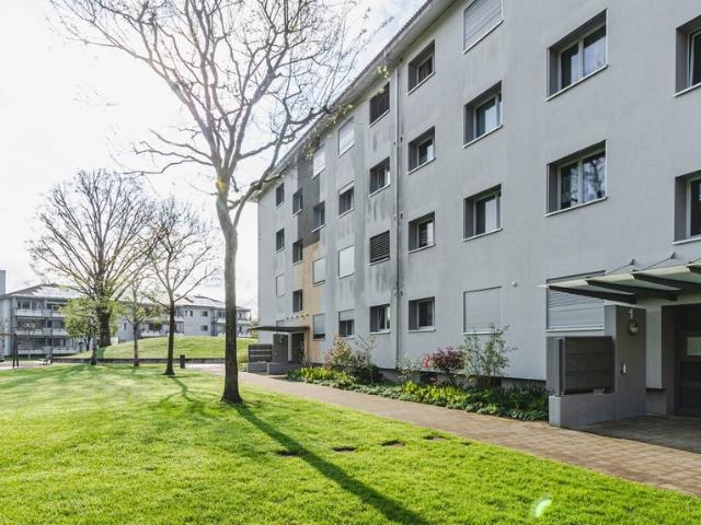 Rent a 3 ½ rooms apartment in Strengelbach Flatfox