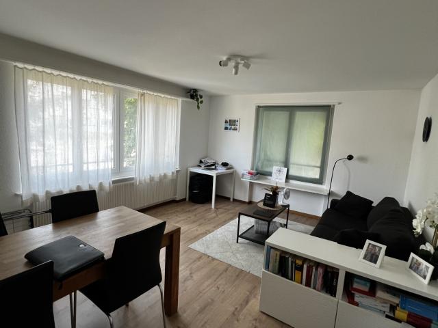 Rent a 3 ½ rooms apartment in Sutz Flatfox