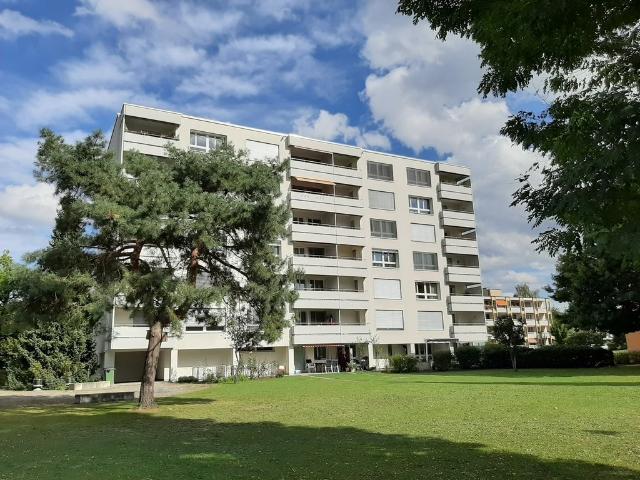 Rent a 3 ½ rooms apartment in Suhr Flatfox