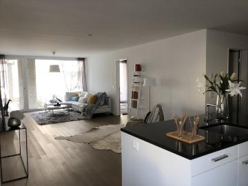 Rent a 3 ½ rooms apartment in Suhr Flatfox