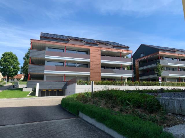 Rent a 3 ½ rooms apartment in Sulgen Flatfox