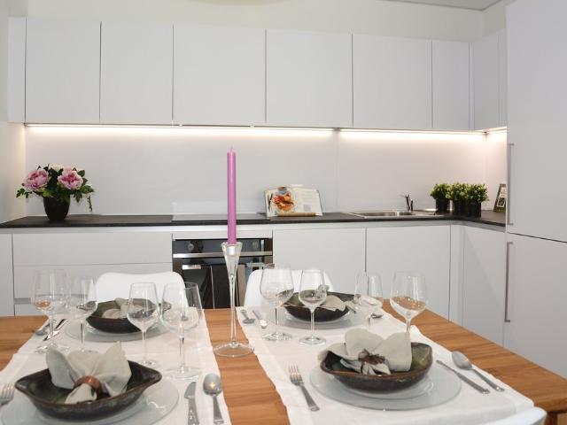Rent a 3 ½ rooms apartment in Paradiso Flatfox