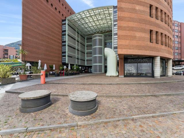 Rent a 3 ½ rooms apartment in Paradiso Flatfox