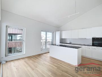 Rent a 3 ½ rooms apartment in Plaffeien Flatfox
