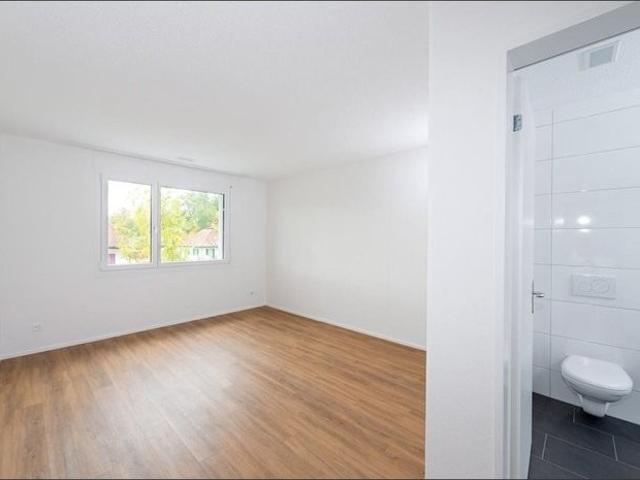 Rent a 3 ½ rooms apartment in Rothrist Flatfox