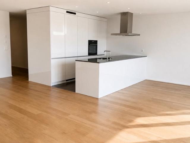 Rent a 3 ½ rooms apartment in Romanshorn Flatfox