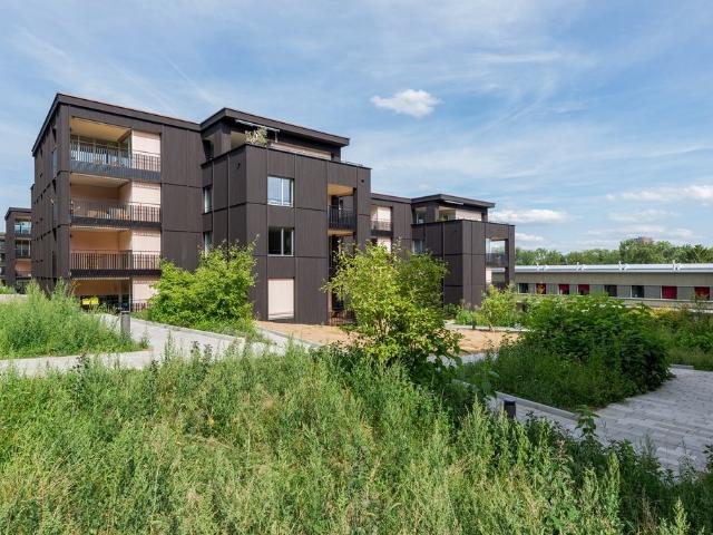 Rent a 3 ½ rooms apartment in Rombach Flatfox