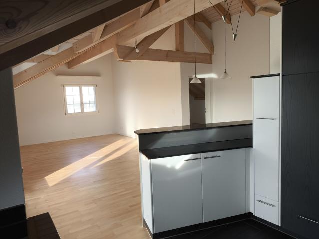Rent a 3 ½ rooms apartment in Root Flatfox