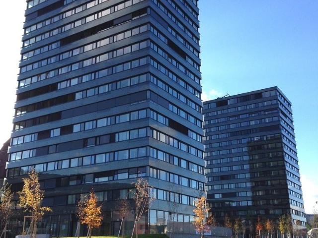 Rent a 3 ½ rooms apartment in Rorschach Flatfox