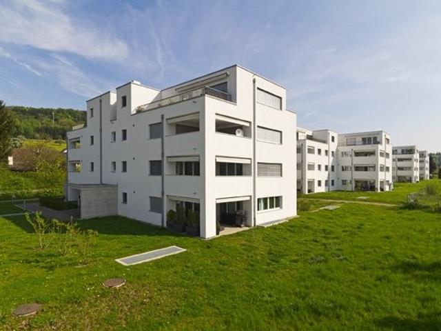 Rent a 3 ½ rooms apartment in Rafz Flatfox