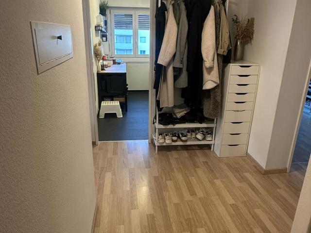 Rent a 3 ½ rooms apartment in Rapperswil Flatfox