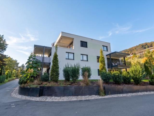 Rent a 3 ½ rooms apartment in Rebstein Flatfox