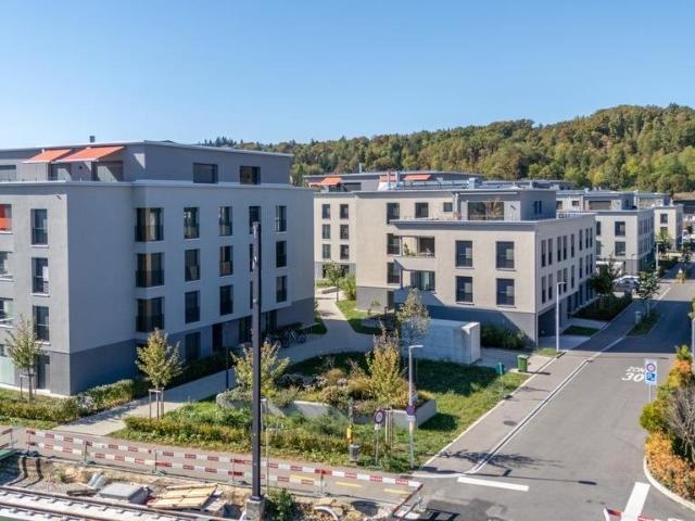 Rent a 3 ½ rooms apartment in Reinach BL Flatfox