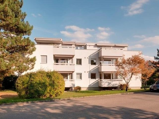 Rent a 3 rooms apartment in Reinach Flatfox