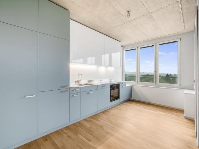 Rent a 3 ½ rooms apartment in Reinach Flatfox