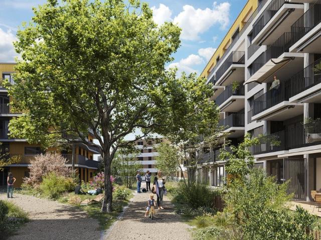 Rent a 3 ½ rooms apartment in Renens Flatfox