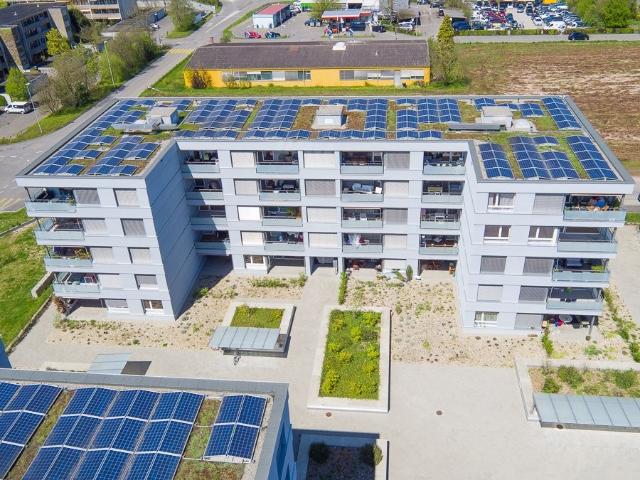 Rent a 3 ½ rooms apartment in Rheinfelden Flatfox