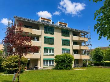 Rent a 3 ½ rooms apartment in Rheinfelden Flatfox