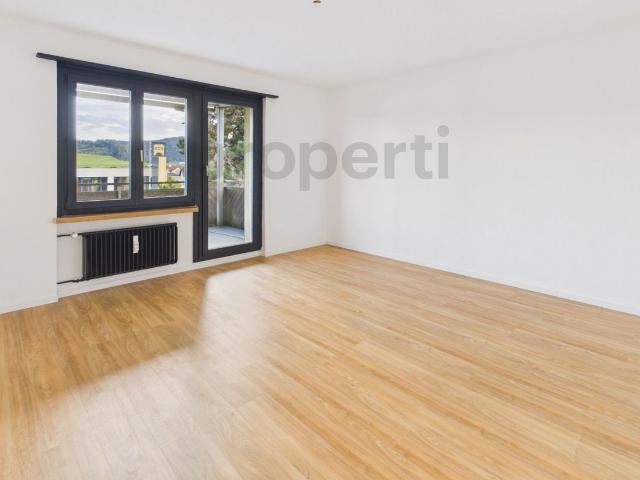 Rent a 3 ½ rooms apartment in Rickenbach b. Wil Flatfox