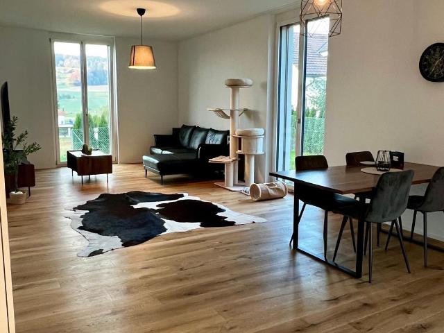 Rent a 3 ½ rooms apartment in Rickenbach Flatfox
