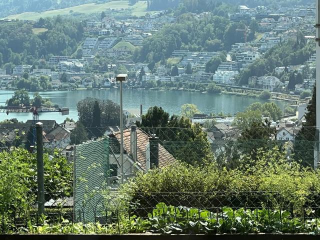 Rent a 3 ½ rooms apartment in Richterswil Flatfox