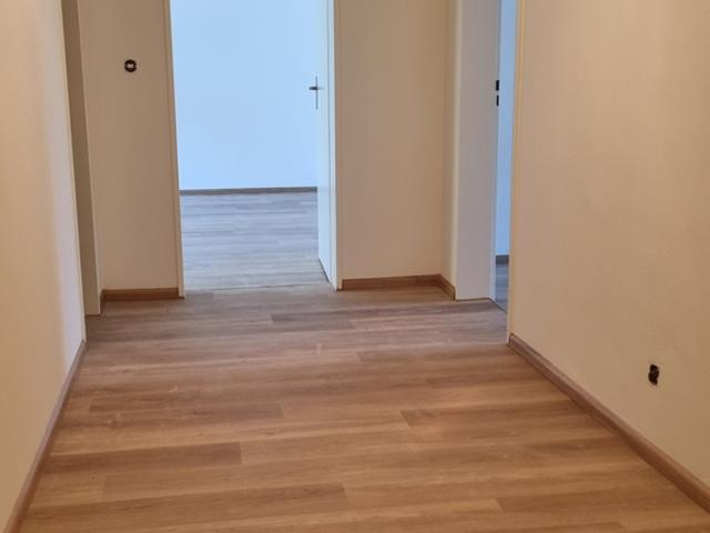 Rent a 3 rooms apartment in Riehen Flatfox