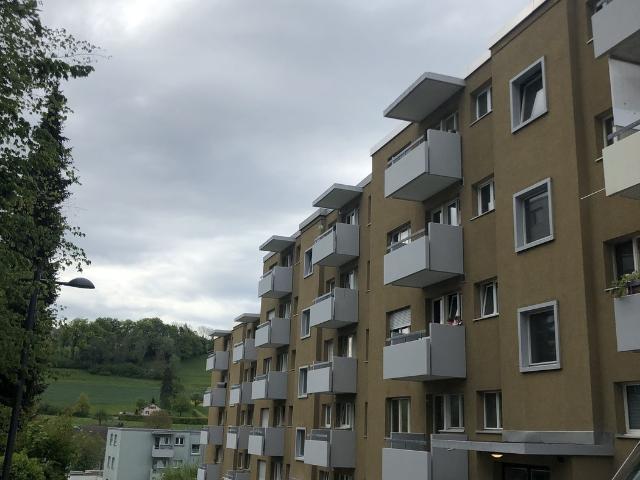 Rent a 3 ½ rooms apartment in Rudolfstetten Flatfox