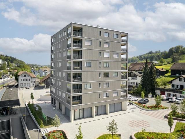 Rent a 3 rooms apartment in Rudolfstetten Flatfox