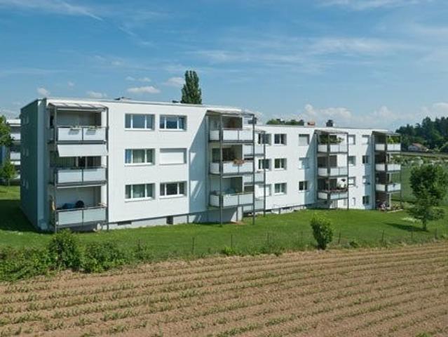 Rent a 3 ½ rooms apartment in Rüfenacht BE Flatfox