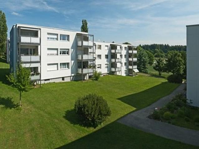 Rent a 3 ½ rooms apartment in Rüfenacht BE Flatfox