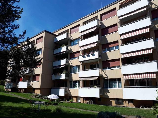 Rent a 3 ½ rooms apartment in Wädenswil Flatfox