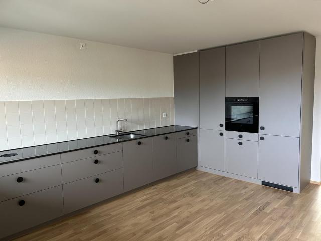 Rent a 3 ½ rooms apartment in Wädenswil Flatfox