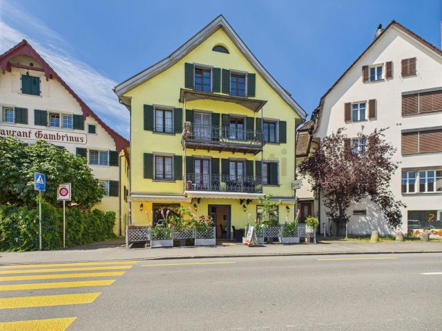 Rent a 3 ½ rooms apartment in Wädenswil Flatfox