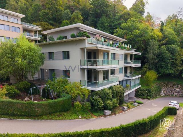 Rent a 3 ½ rooms apartment in Walchwil Flatfox