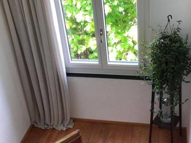 Rent a 3 ½ rooms apartment in Wallisellen Flatfox