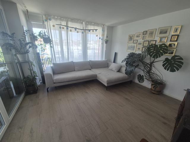 Rent a 3 ½ rooms apartment in Wallisellen Flatfox