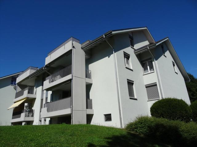 Rent a 3 ½ rooms apartment in Wallisellen Flatfox