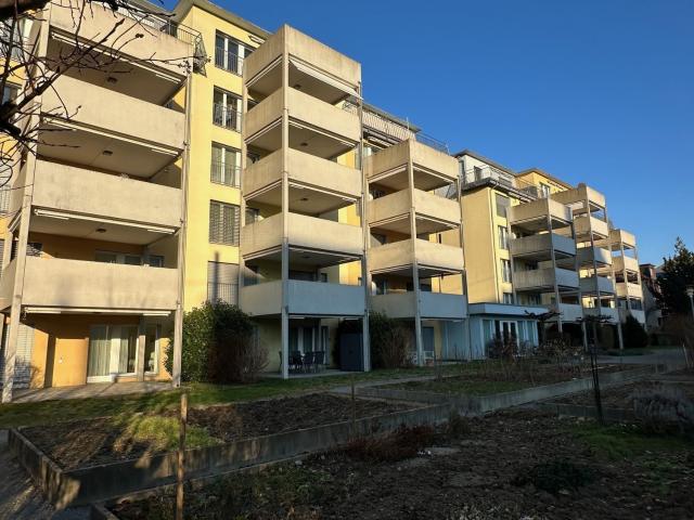 Rent a 3 ½ rooms apartment in Wallisellen Flatfox