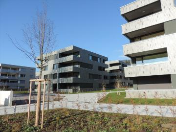 Rent a 3 ½ rooms apartment in Wangen b. Olten Flatfox