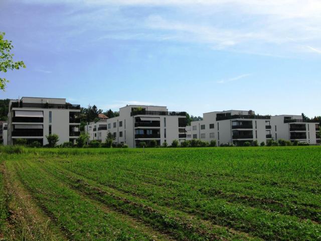 Rent a 3 ½ rooms apartment in Wiesendangen Flatfox