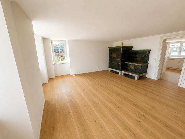 Rent a 3 ½ rooms apartment in Wil ZH Flatfox