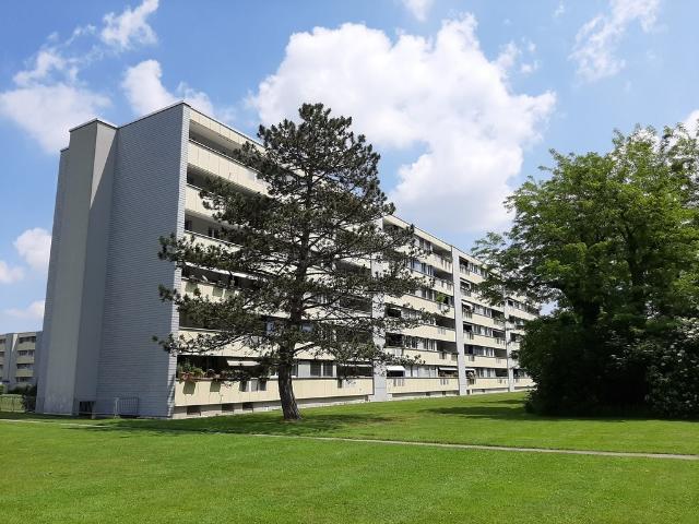 Rent a 3 ½ rooms apartment in Windisch Flatfox