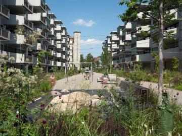 Rent a 3 ½ rooms apartment in Winterthur Flatfox