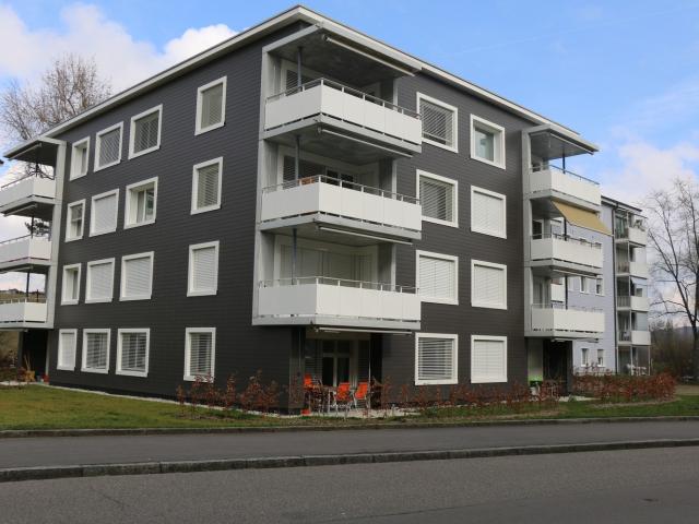 Rent a 3 ½ rooms apartment in Winterthur Flatfox