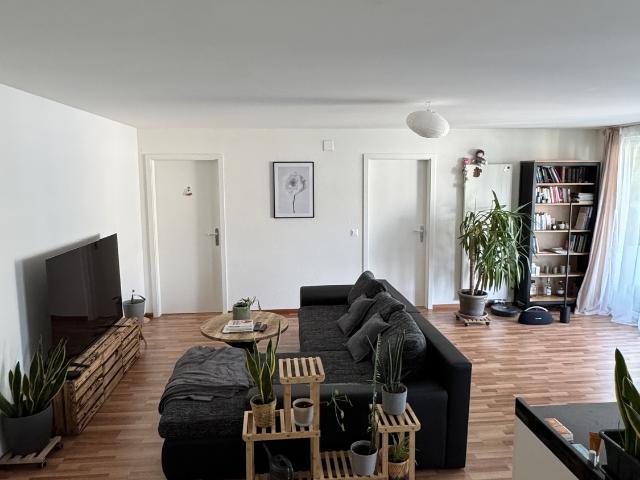 Rent a 3 ½ rooms apartment in Winterthur Flatfox
