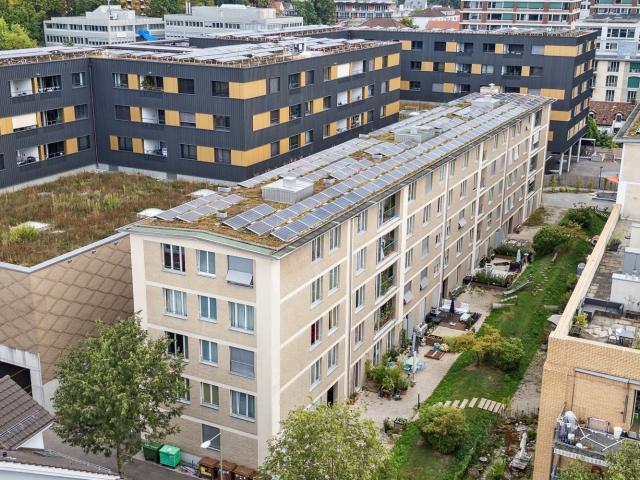 Rent a 3 ½ rooms apartment in Winterthur Flatfox